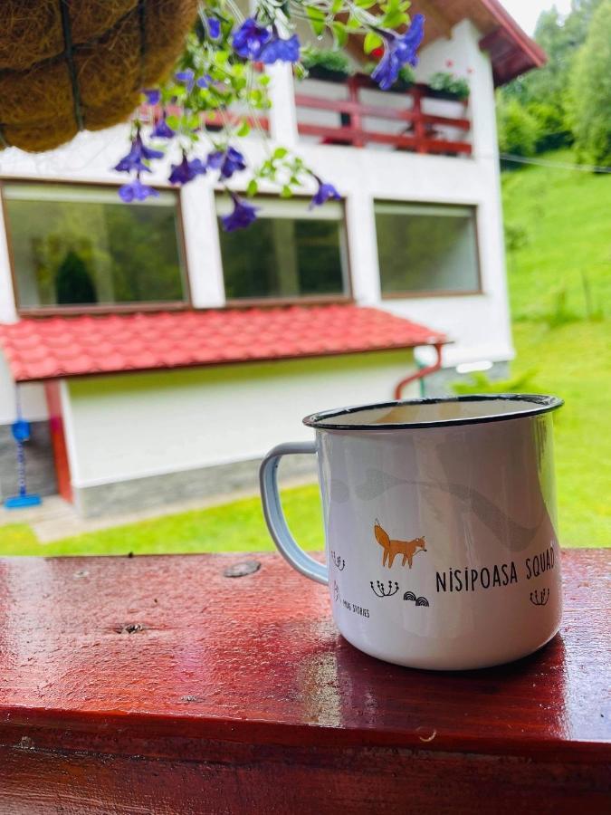 Cabana Nisipoasa Rîu de Mori エクステリア 写真