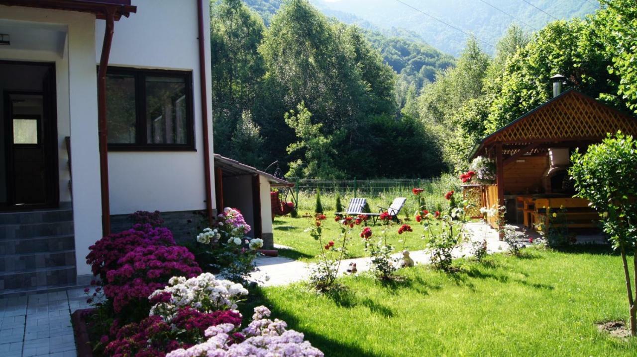 Cabana Nisipoasa Rîu de Mori エクステリア 写真